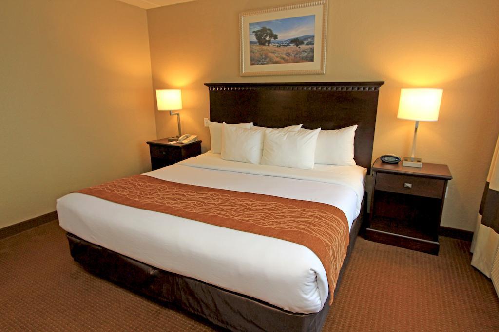 Comfort Suites Austin Airport Экстерьер фото